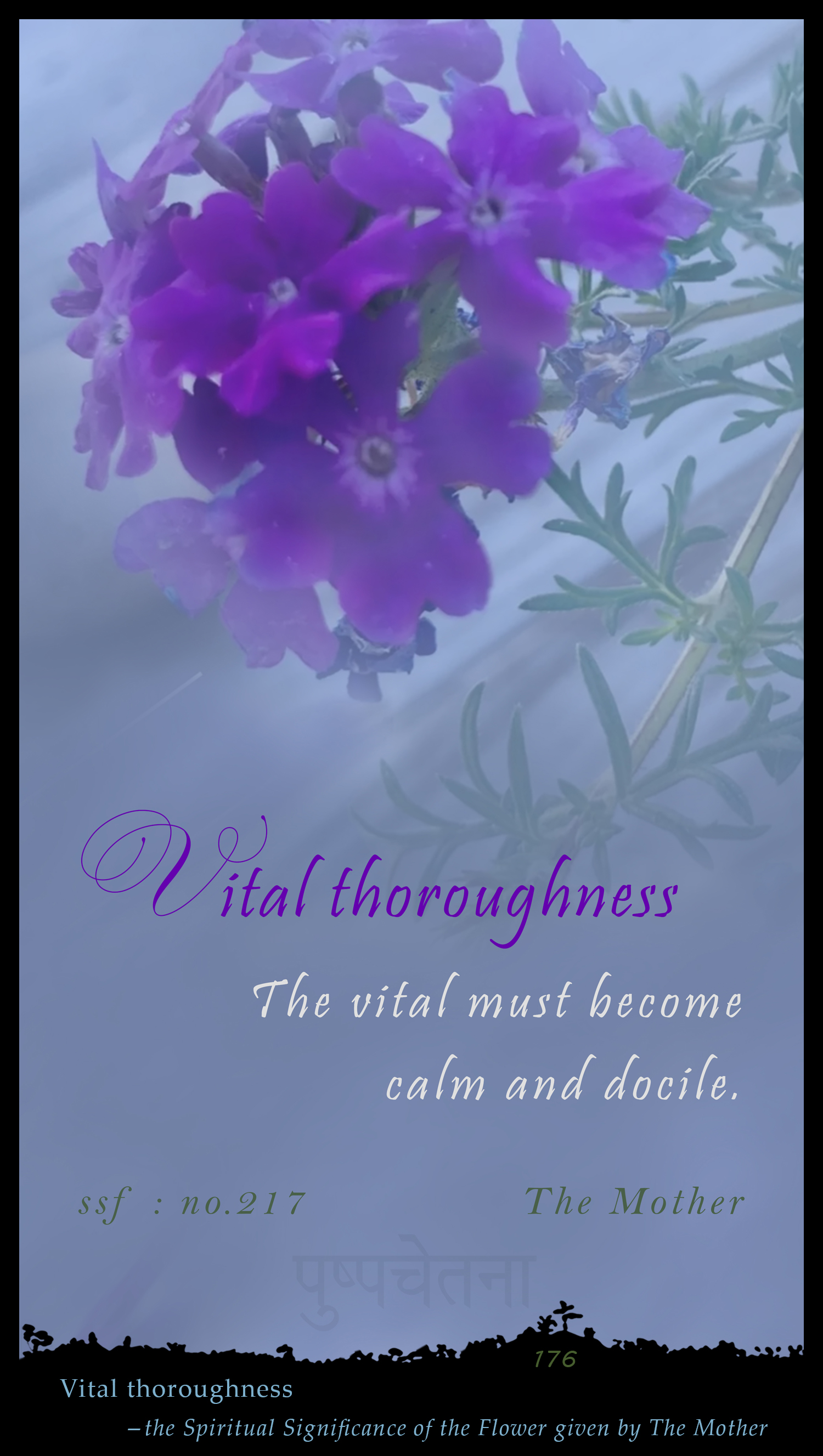Vital Thoroughness